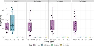 Fate of petroleum-based and plant-based teabags exposed to environmental soil conditions for one year